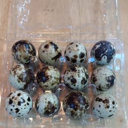 Quail Eggs