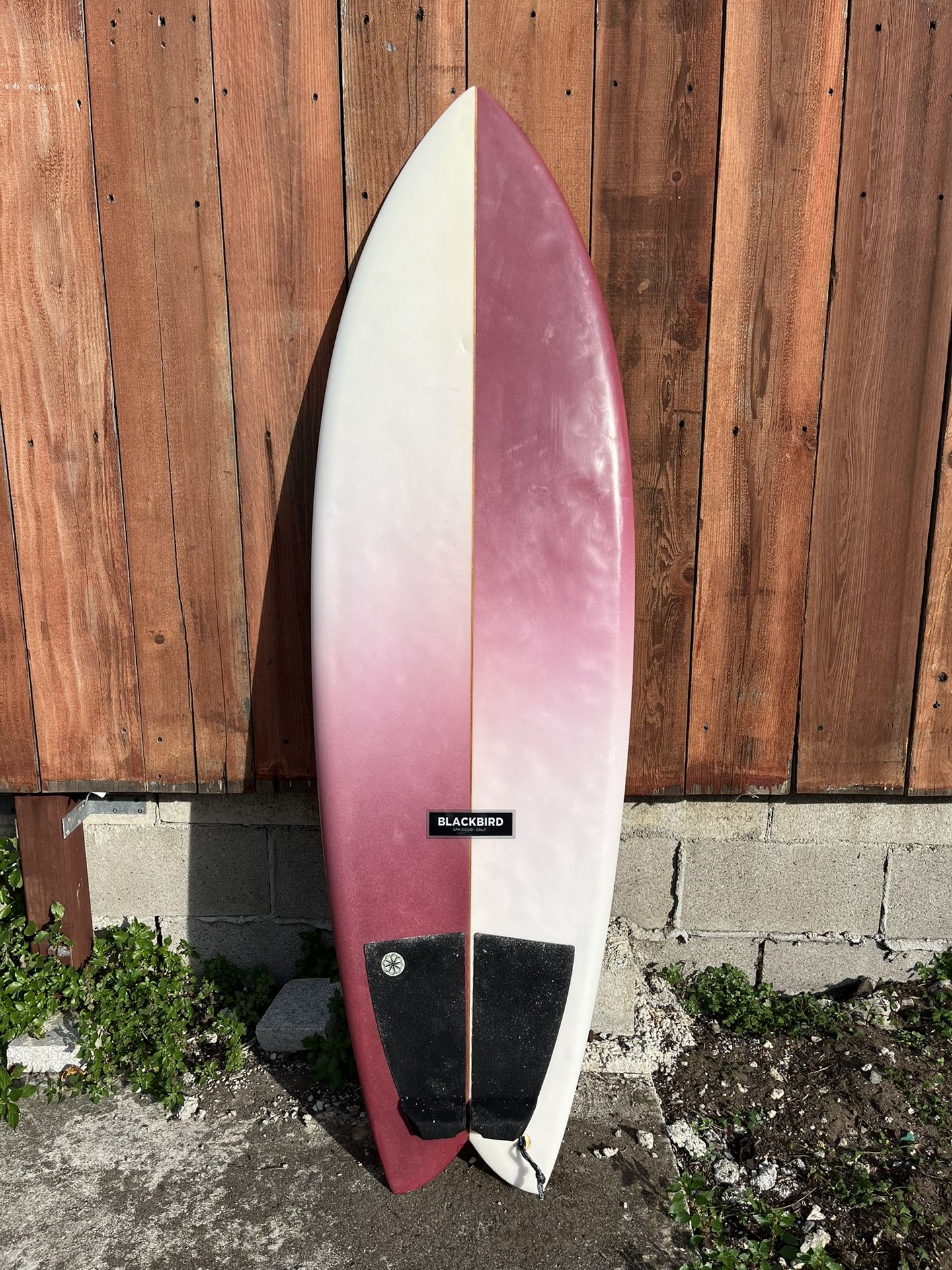 Blackbird Fish Surfboard