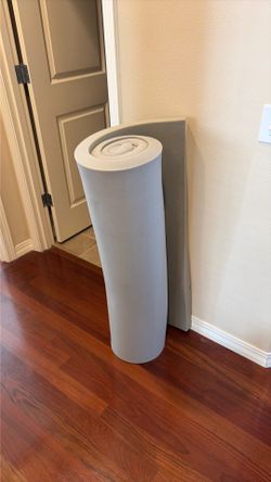 1 Mattress Topper & 1 Sealy Pillows (EXTRA Pillow) TOTAL $60