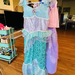Disney Princess Dress