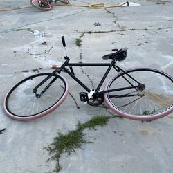 Fixie 29 inch