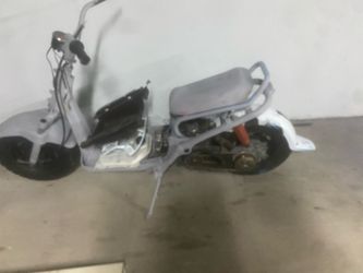 Honda ruckus