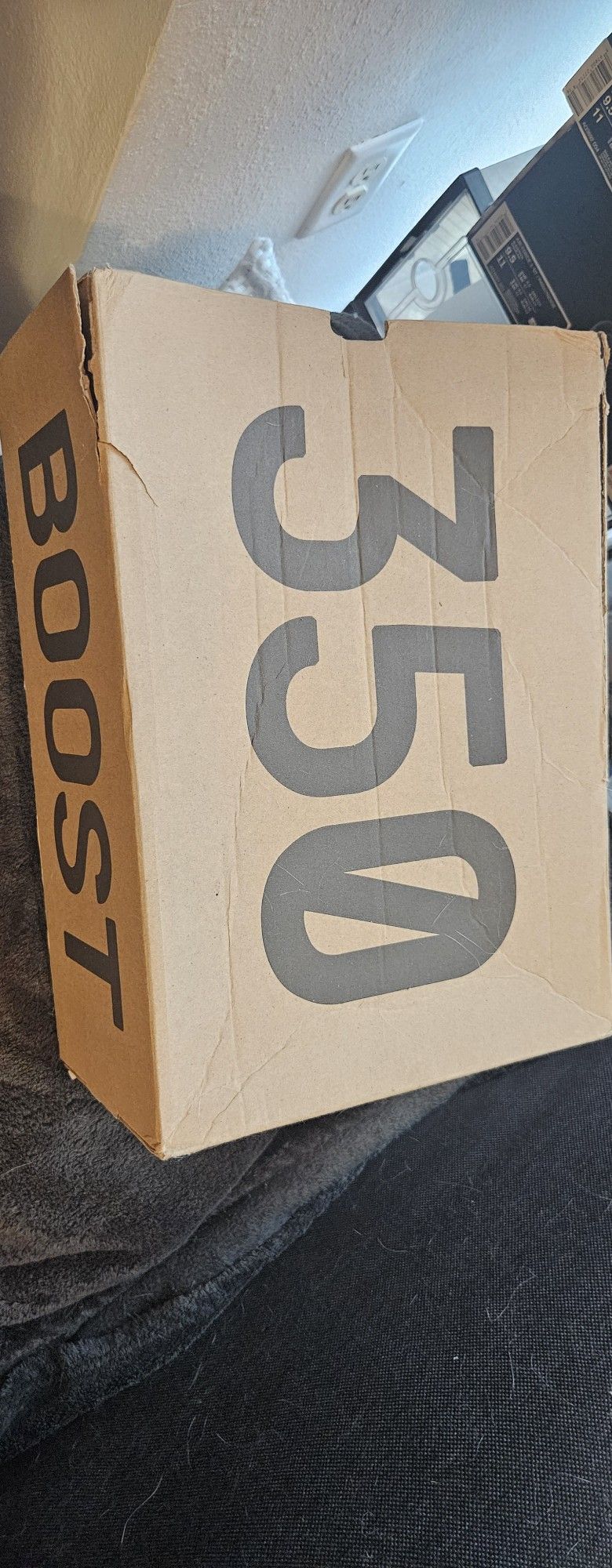 Adidas Yeezy 350 Boost Turtle Doves