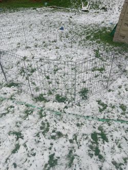 Dog Kennel