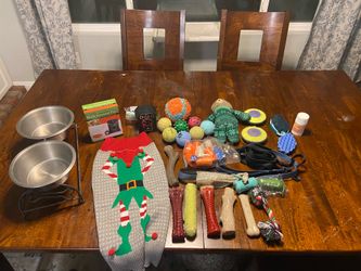 Dog toys and items for care