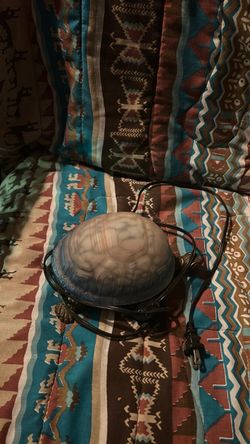 Lighted turtle