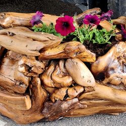 Handmade Driftwood Planter Box