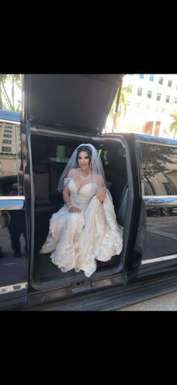 WEDDING DRESS FROM Bride of Florida paid 1,600