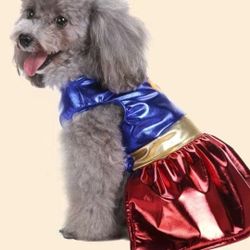 Super Dog Costume