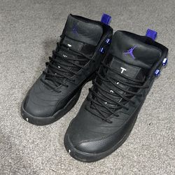 Jordan 12 dark concord