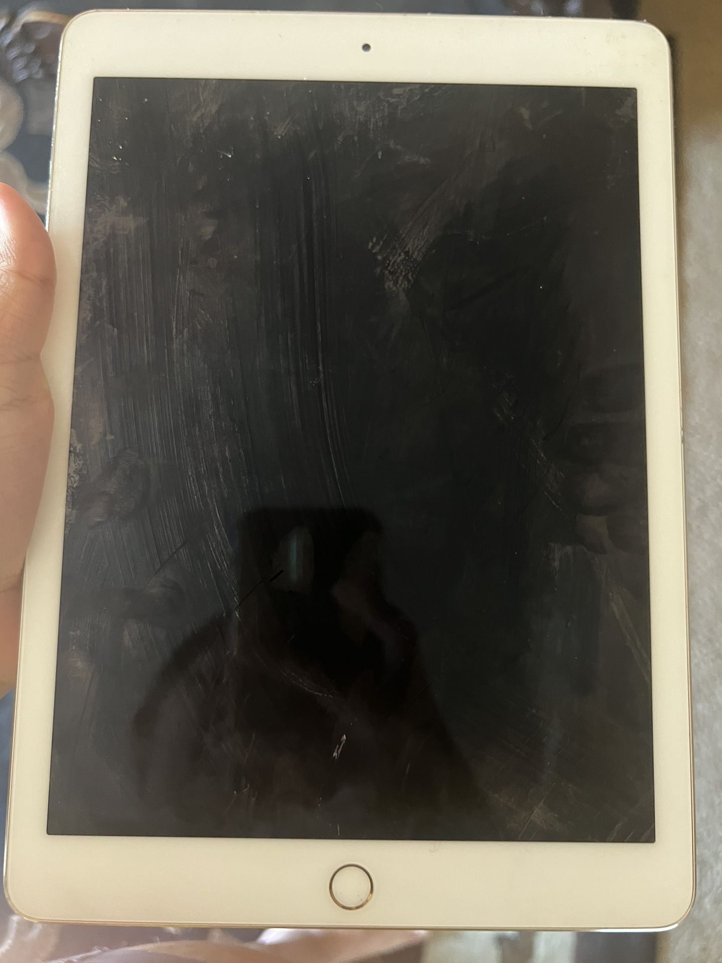 iPad 