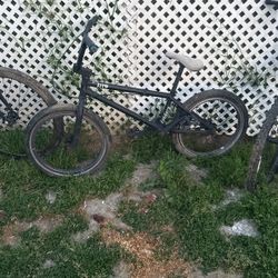 Fit Bike Pro