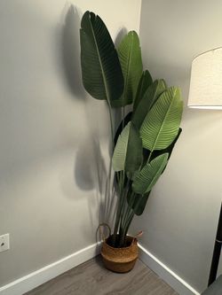 Artificial 6ft Bird of Paradise Tree
