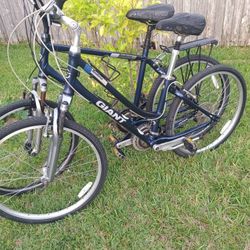 Giant Bike