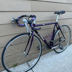 Aluminum Bike Trek Sz 27
