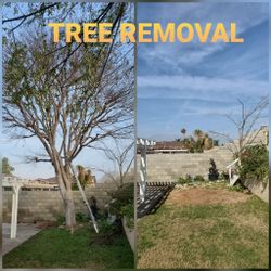 Stump grinding messge, tree messge