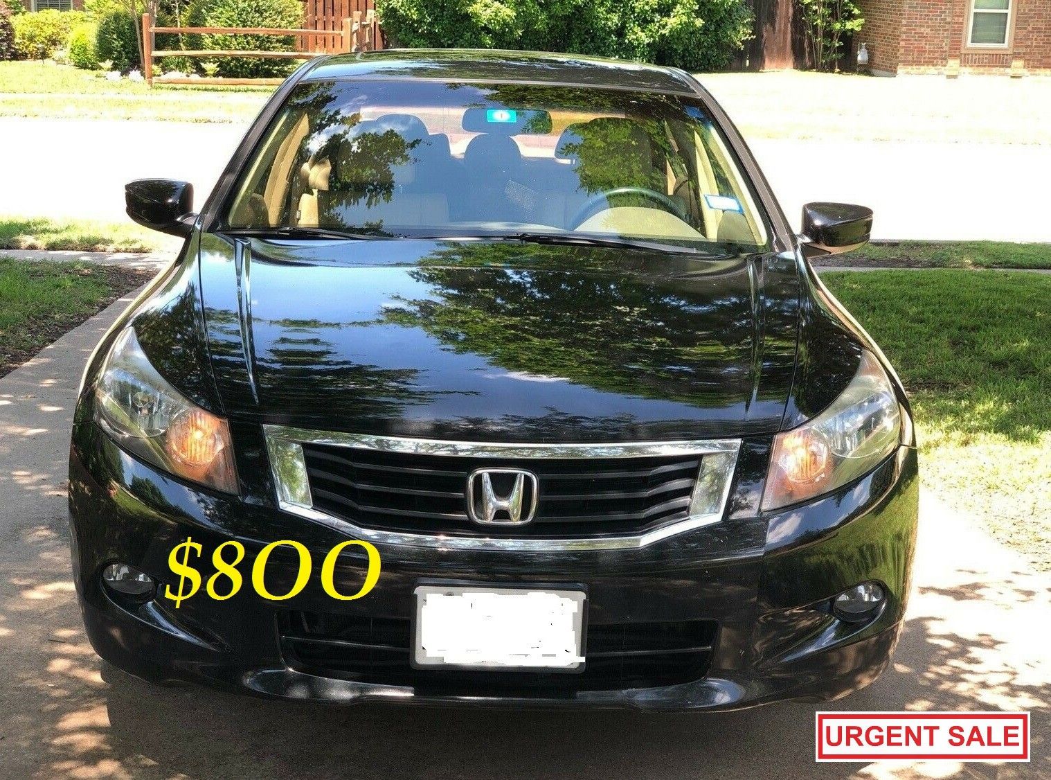 ๐๐$8OO URGENTLY I sell my family car 2OO9 Honda Accord EX-L Everything is working great! Runs great and fun to drive.๐๐