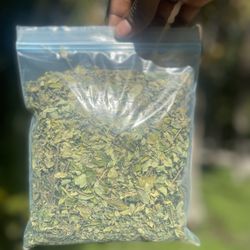 Moringa Leaf