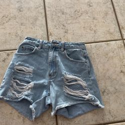 Women Shorts