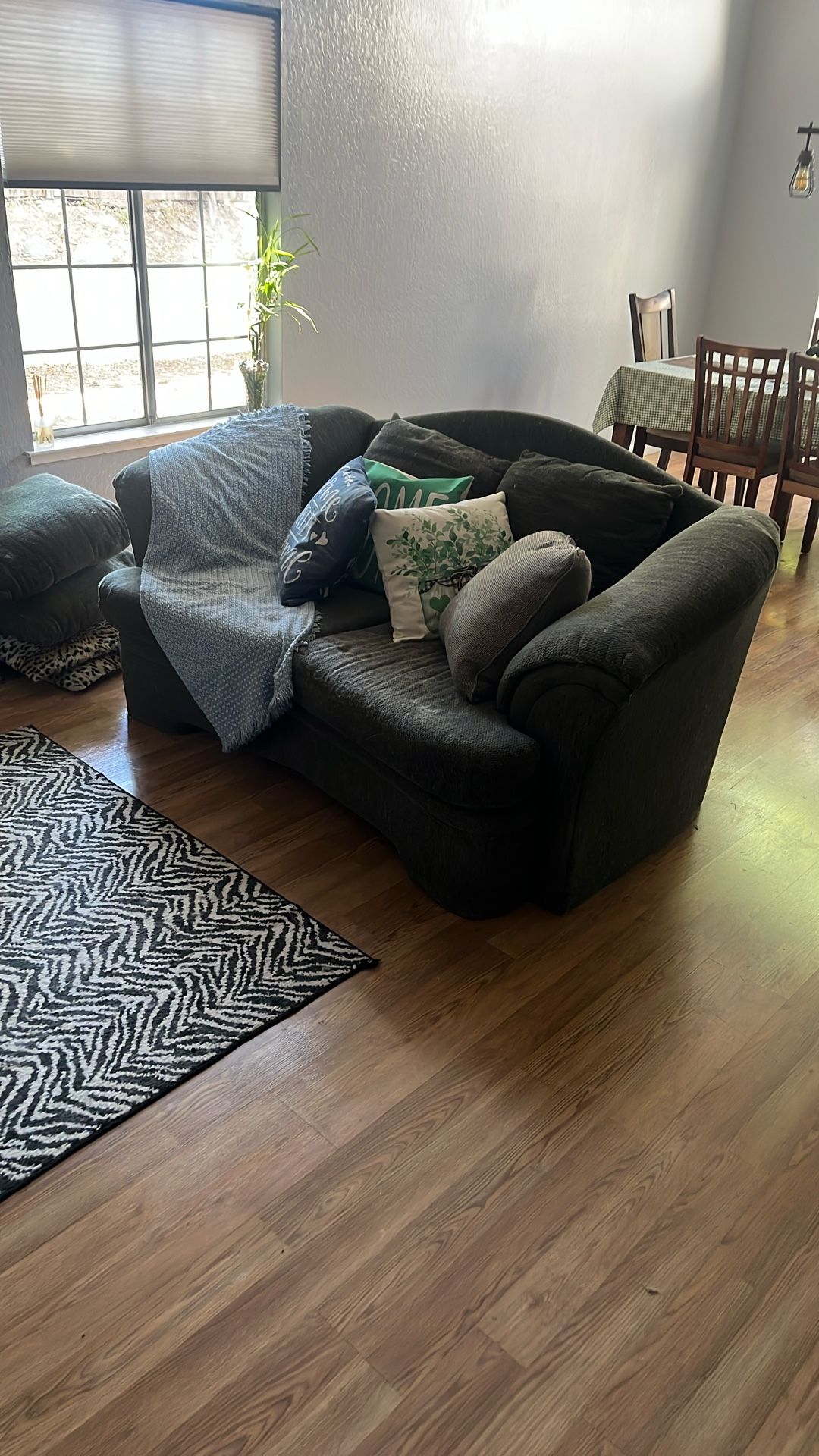 2 Love Seat Couches For Free