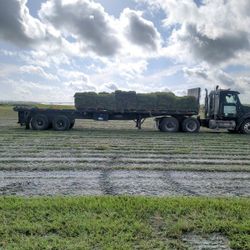 St Augustine Floratam 