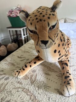 Large Cheetah