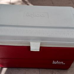 Igloo Cooler...20"