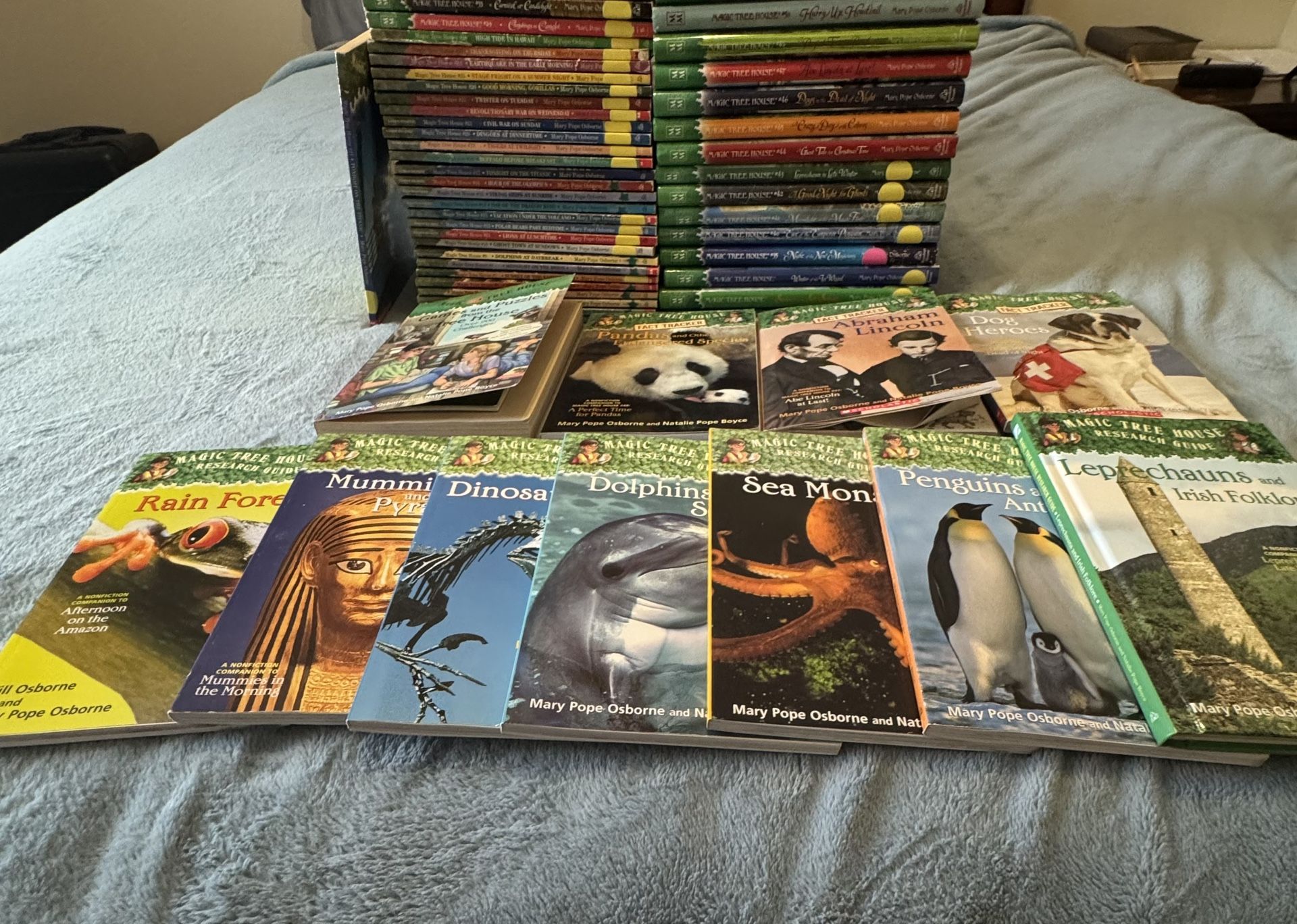Magic Tree House Books