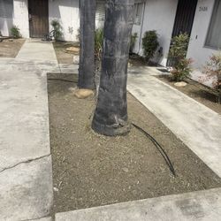 Jardinero El Antes Y El Después