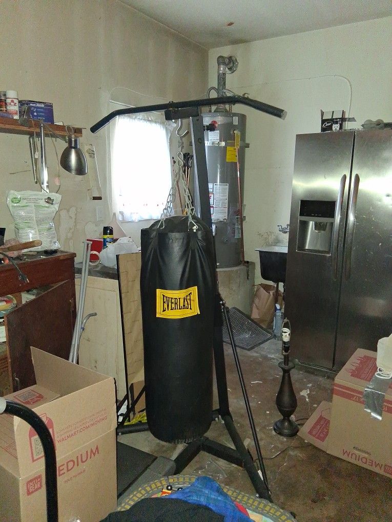 Everlast Punching Bag 