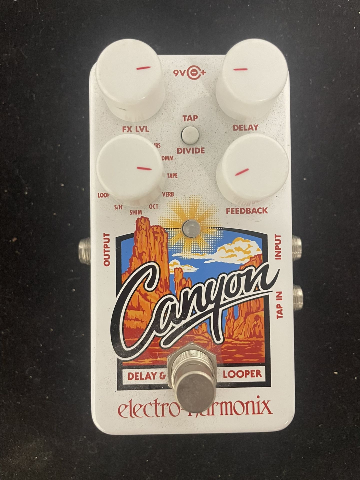 Electro-Harmonix Canyon Delay Looper
