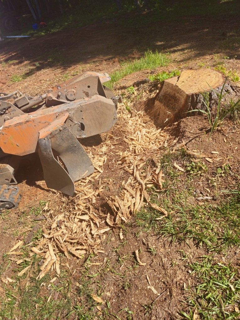 Stump Grinding