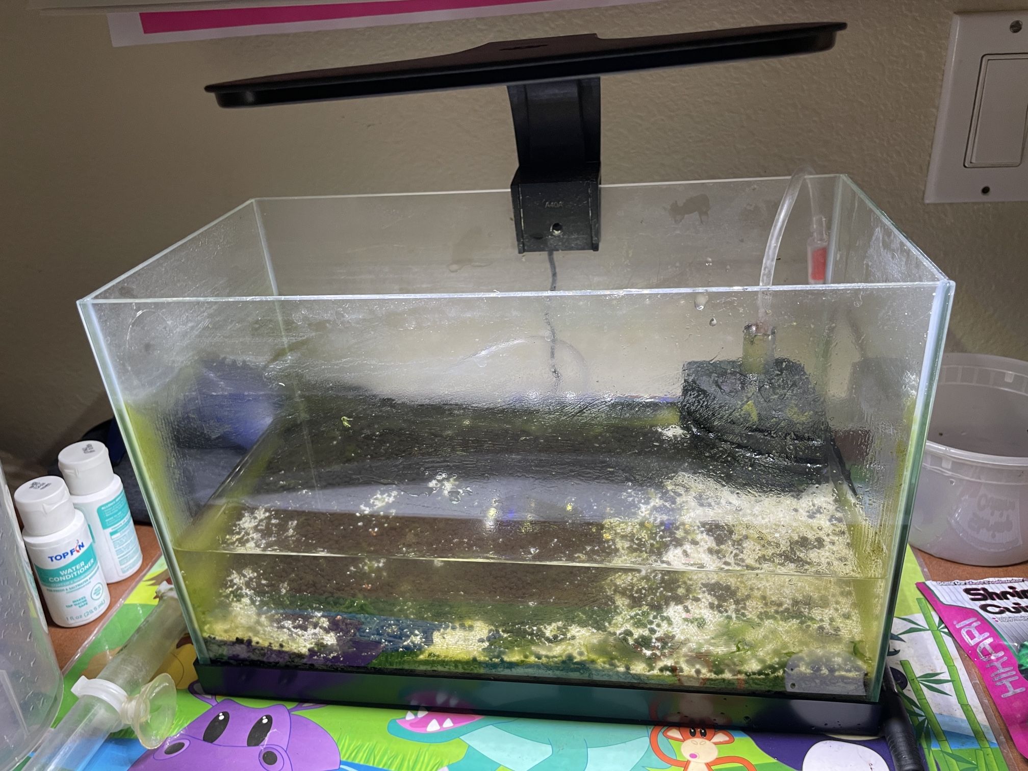 2 Gal Tank Comes With Sponge Filter Set Up And Light