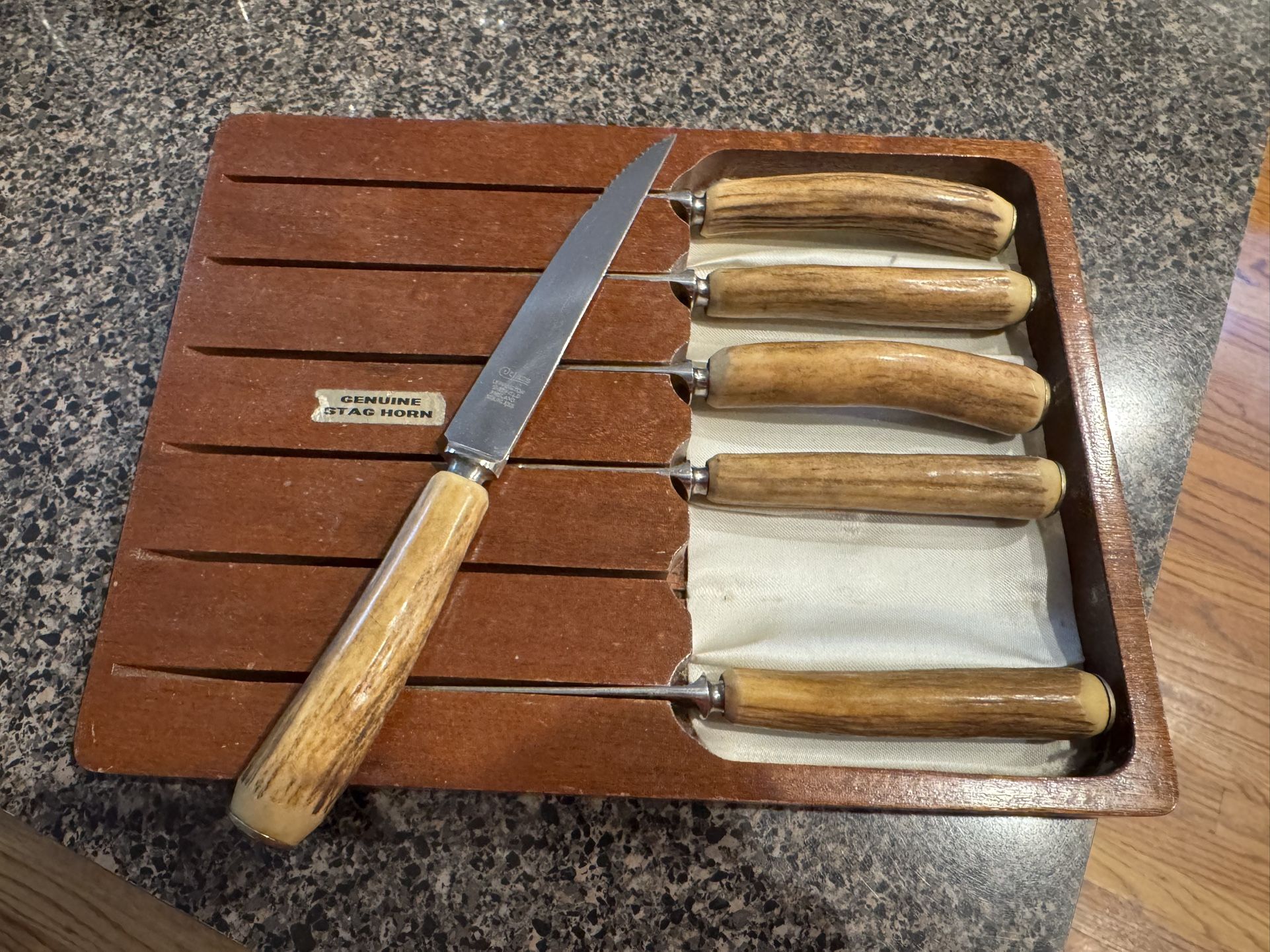 Vintage Stag Horn Cutlery