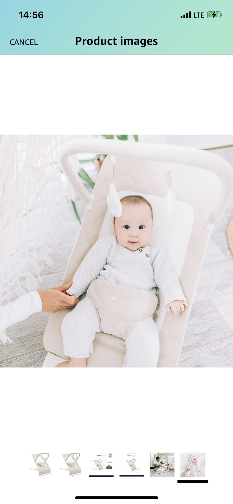 Baby Delight Alpine Deluxe Portable Bouncer