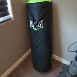 Punching Bag 70lbs Like New