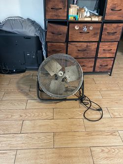 Fan