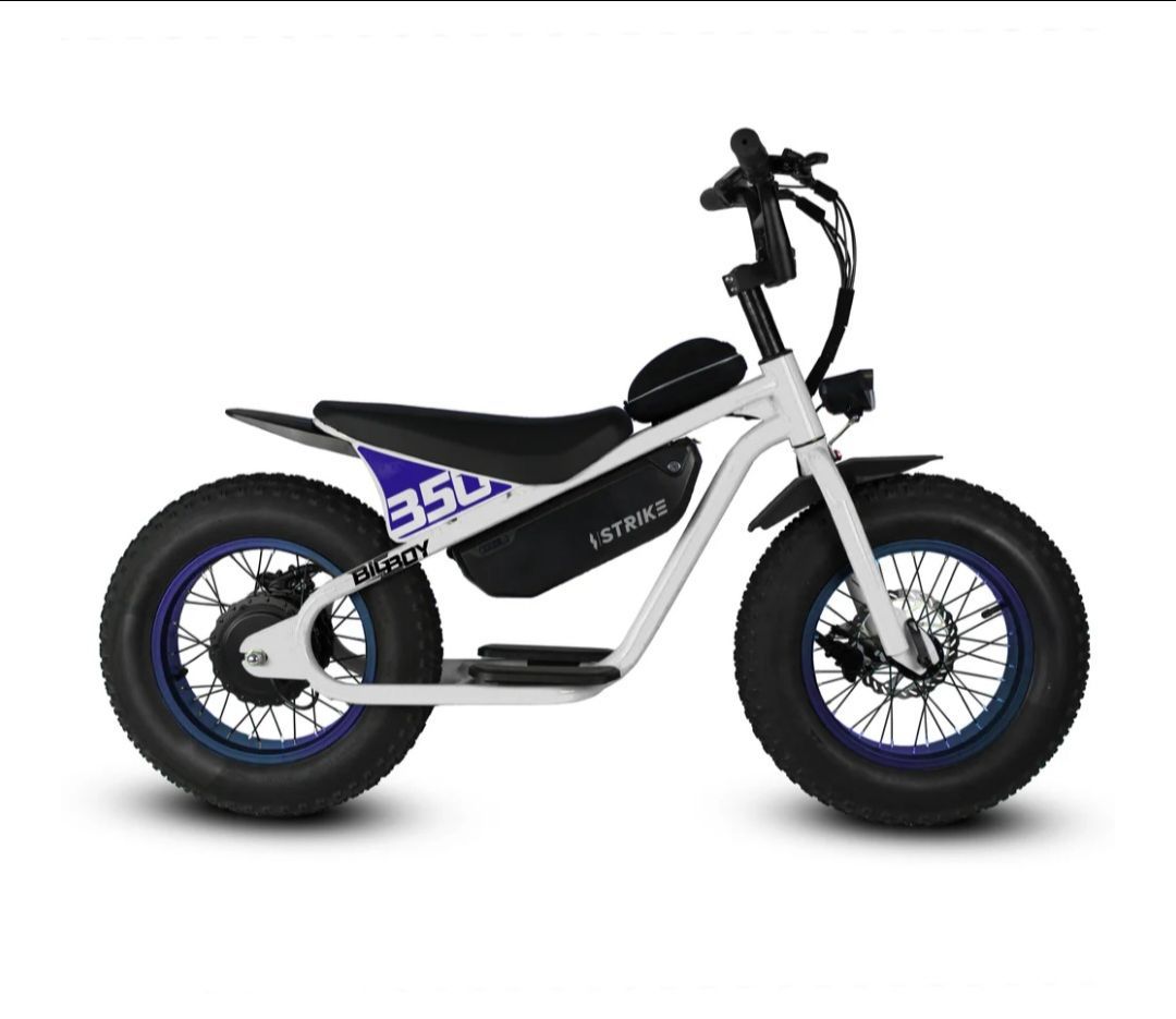 Ebike 1200 shipping only