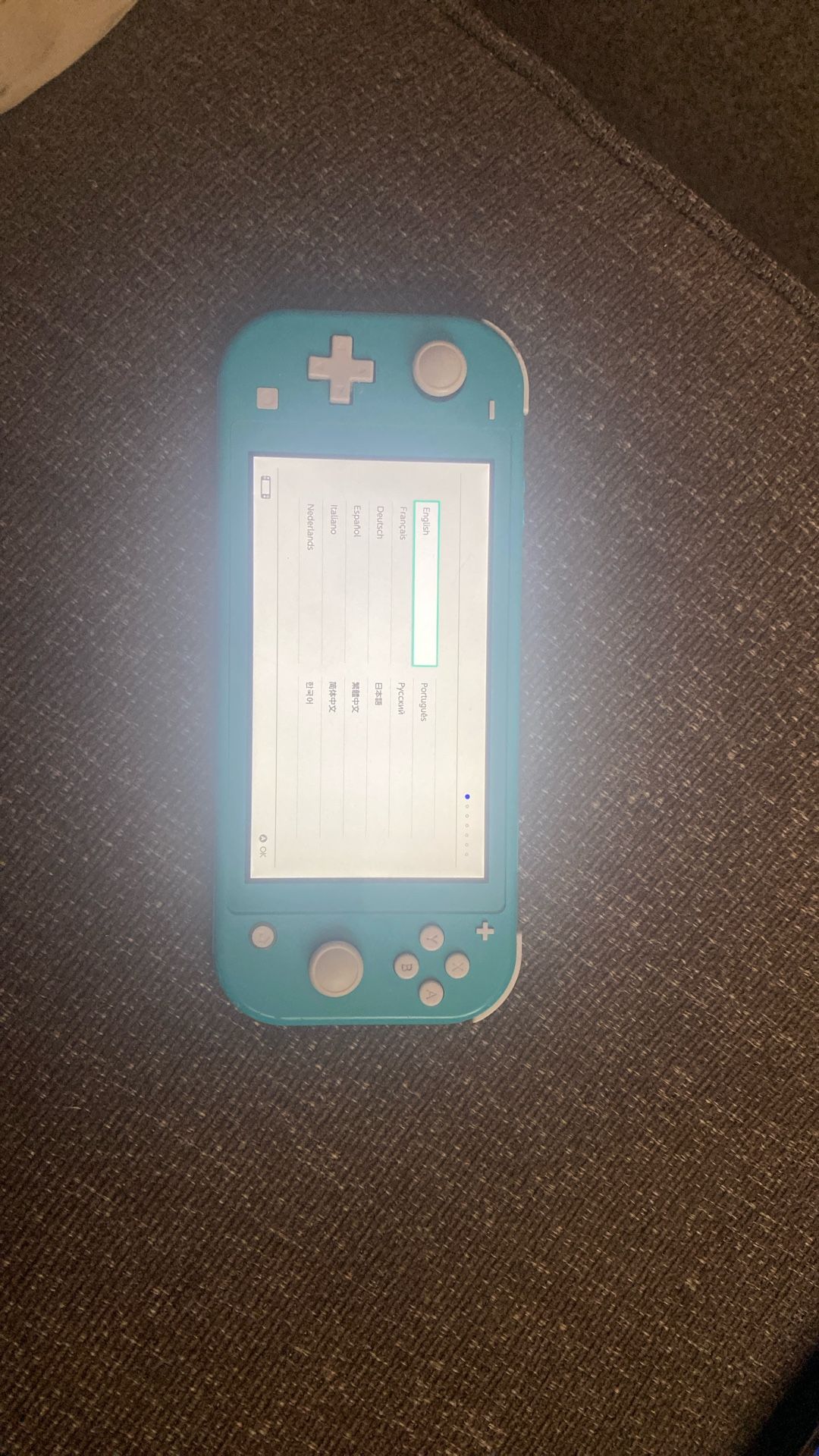 Nintendo Switch Lite
