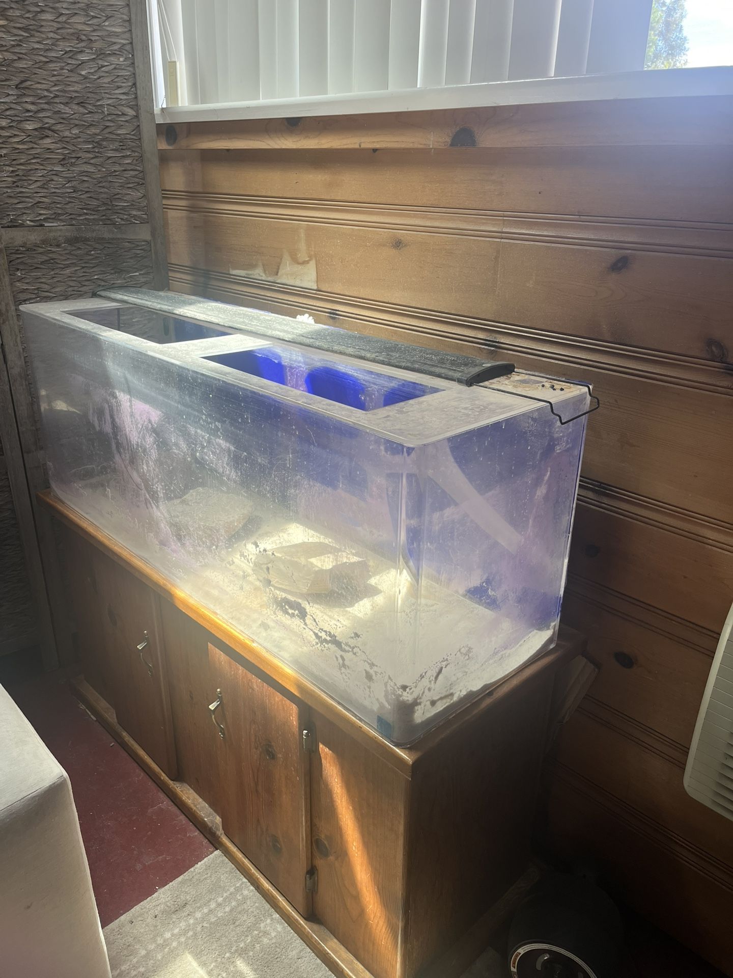 55 Acrylic Tank With Stand With Accessories