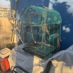Big Bird Cage Good Condition $40 