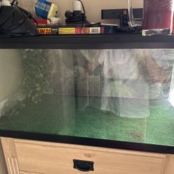 Huge Reptile Tank 