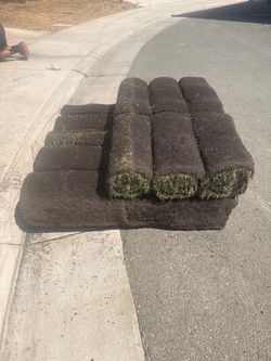 Fresh sod