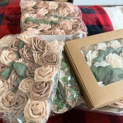 Roses / Neutral Colors 