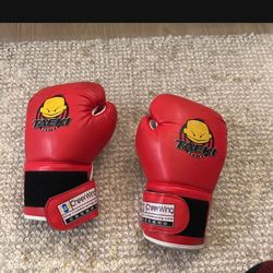 Boxing Gloves 