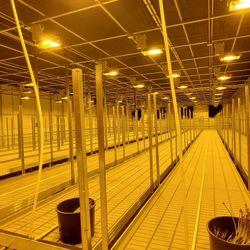 Grow Equipment (Indoors)