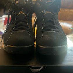 Nike Jordan 6 DNP