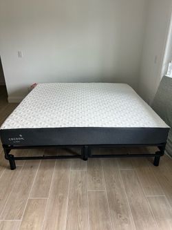 Bed Frame and Mattress
