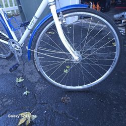 Raleigh Bike (One way) Classic Bike.