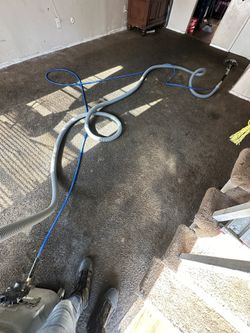 Lavado De Alfombras Y Más